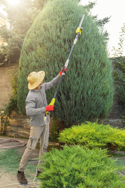 Best Lawn Mowing Services  in Cavalero, WA